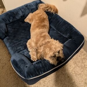 Meet your Posher, Josyne